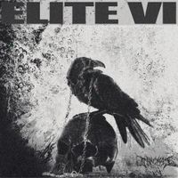 Crowsnest Audio - CROWSNEST ELITE VI