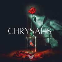 Butterfly K - Chrysalis