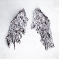 Klinac - Icarus