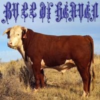 Bull of Heaven - 208: As You Etch on the Inner Window of Your Eye