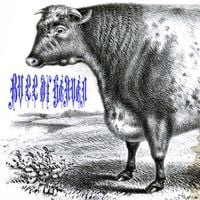 Bull of Heaven - 285: A Violet Breath