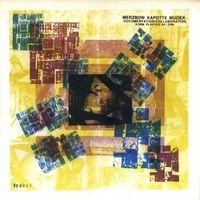 Merzbow Kapotte Muziek - Documentation / Collaboration