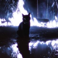 Junior H - MI GATA