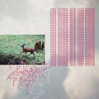 coffret de bijoux - my limbs are not mine