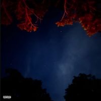 Young DD - Clarity