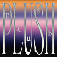 DJ Seinfeld - Plush