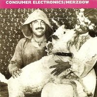 Consumer Electronics / Merzbow - Horn of the Goat
