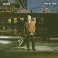 Joe Pernice - Sunny, I Was Wrong