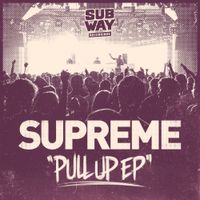 Supreme - Pull Up
