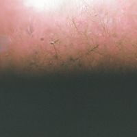 Foam And Sand - Soft Euphoria