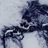 Cleaning Each Other - Celestine