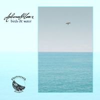 arboreal moon - birds & water