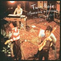 Twin Peaks - Freezing In Chicago &mdash; Live At Thalia Hall, December 31st, 2017