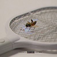 Chip - Pest Control