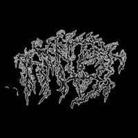 amnist - amnist