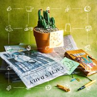 饭卡 - 仙人掌日报社 Cactus Daily