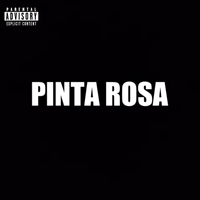Buddybuddy - Pinta Rosa