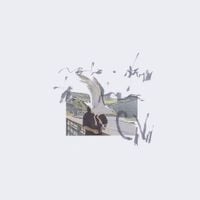 Ciro Vitiello - +days
