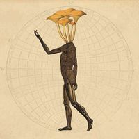 Thank You Scientist - Mr. Invisible