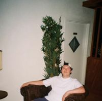 looking at birds - Living Room
