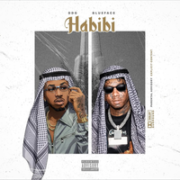 DDG - Habibi