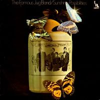 The Famous Jug Band - Sunshine Possibilities