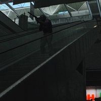 1bear - Bay-5 (wayza)