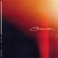 Shawn Mendes & Camila Cabello - Se&ntilde;orita