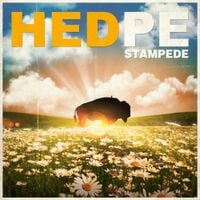 (Hed) P.E. - Stampede