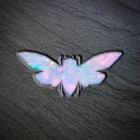 Blank Banshee - Metamorphosis