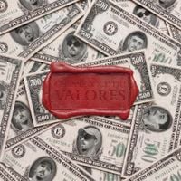 Chippie - Valores