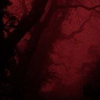 Sewerperson - a ritual killing on 70mm
