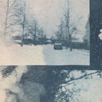 Meadowglade - Magnolia