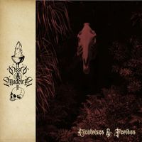 Osso & Madeira - Cicatrizes E Feridas