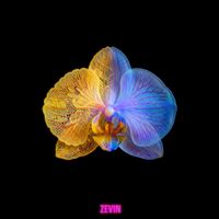 Zevin - My Mind