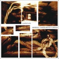 Merzbow & Genesis P-Orridge - A Perfect Pain