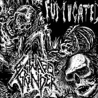Fumigated - Split W/ Sewage Grinder