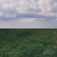 Kennyflowers - Fireball