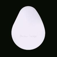 Merzbow - Tamago