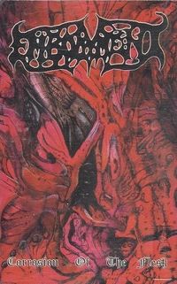Embodyment - Corrosion of The Flesh