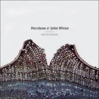 Merzbow & John Wiese - Multiplication