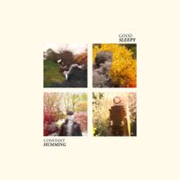Good Sleepy - CONSTANT HUMMING