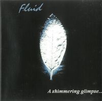 Fluid - A Shimmering Glimpse