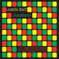 Jamie Saft & Merzbow - Merzdub