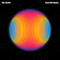 The Tulips - Halcyon Beach