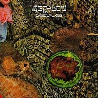 Merzbow - Camouflage