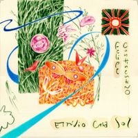 Felipe Continentino - Est&uacute;dio Casa Sol