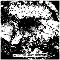 Skin Beetles - Grinding Oral Carnage