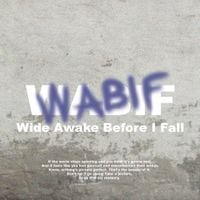 1VERSE - Wide Awake Before I Fall