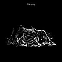 Konradsen - Efficiency